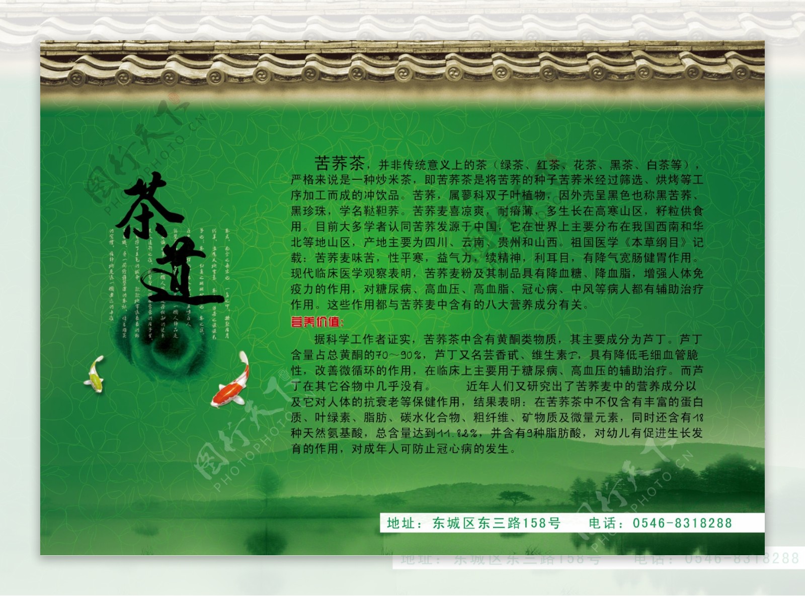 苦荞茶宣传单页图片