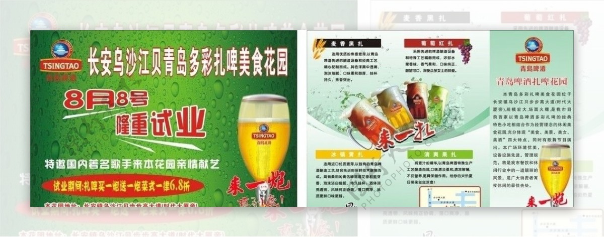 青岛啤酒DM图片