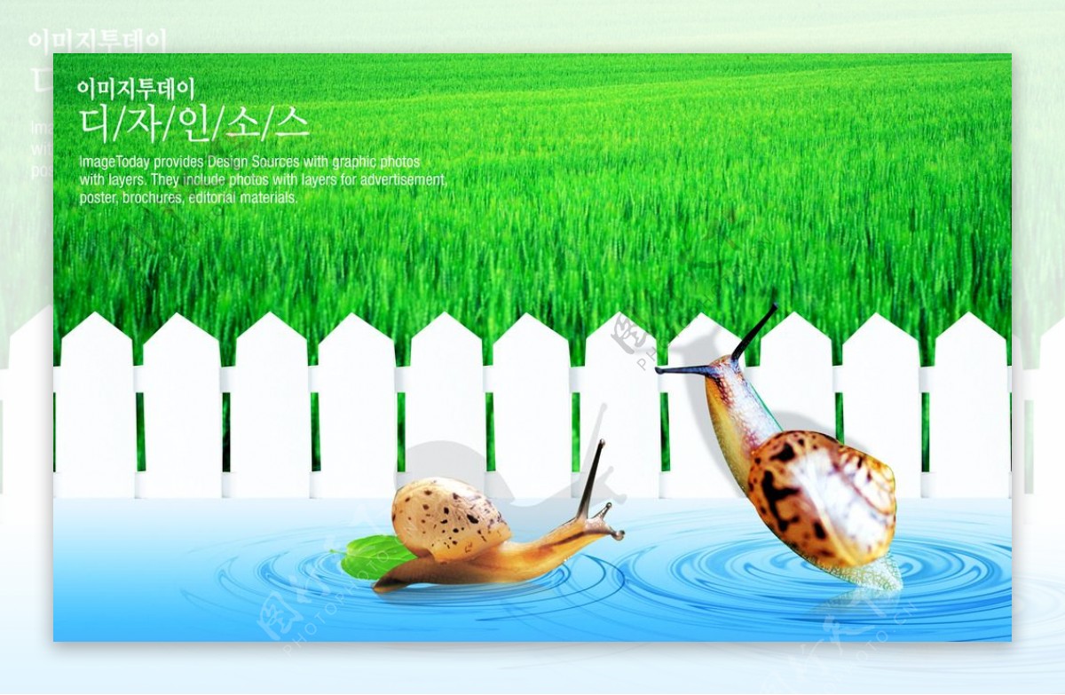 蜗牛海报设计图片