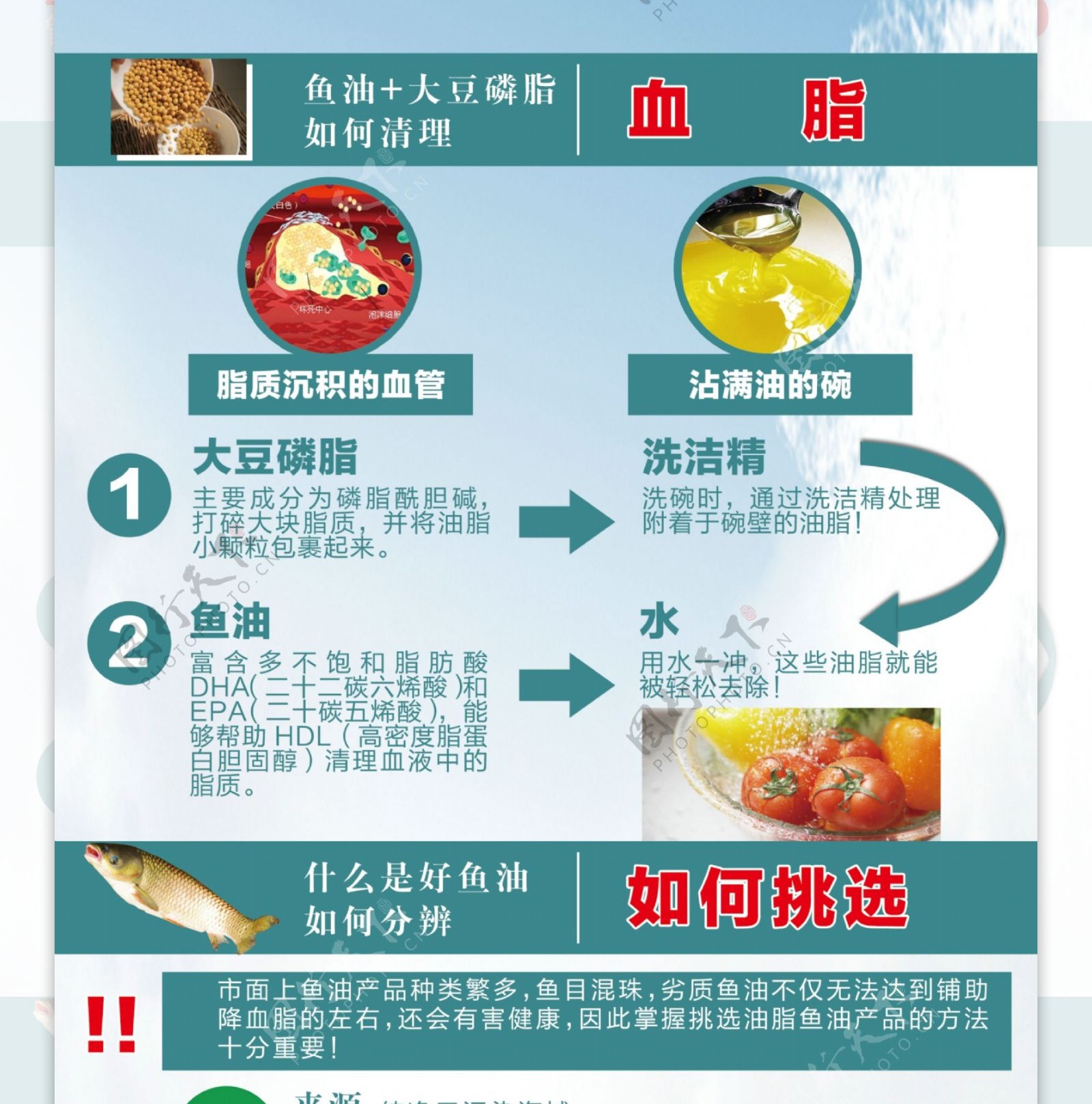 大豆磷脂鱼油分层图图片