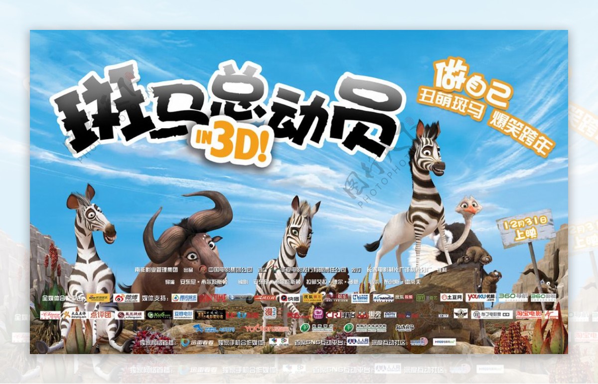 斑马总动员海报图片