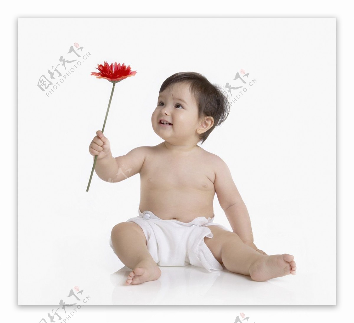 拿着一朵花的可爱宝宝婴儿图片