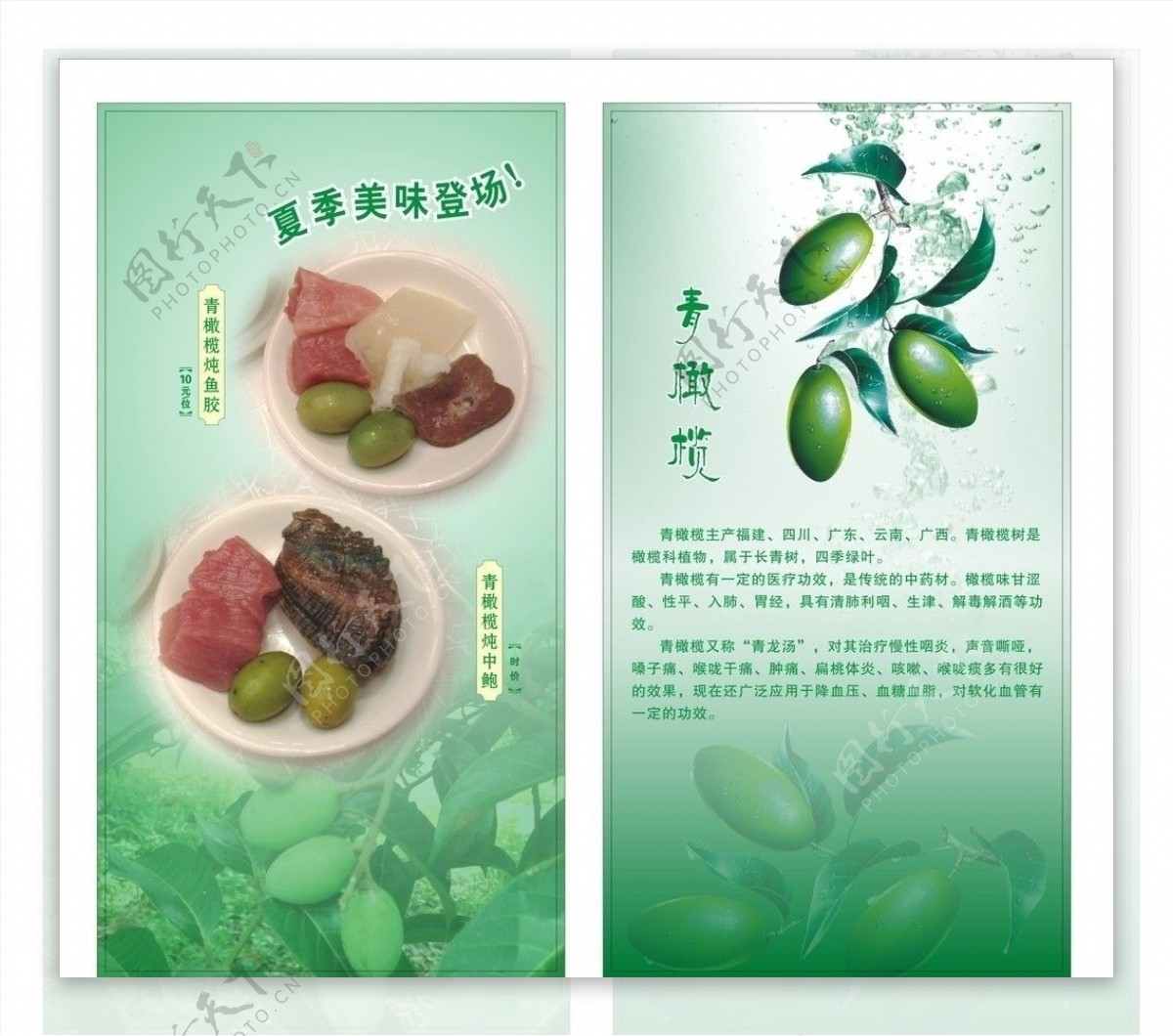 青橄榄食品图片