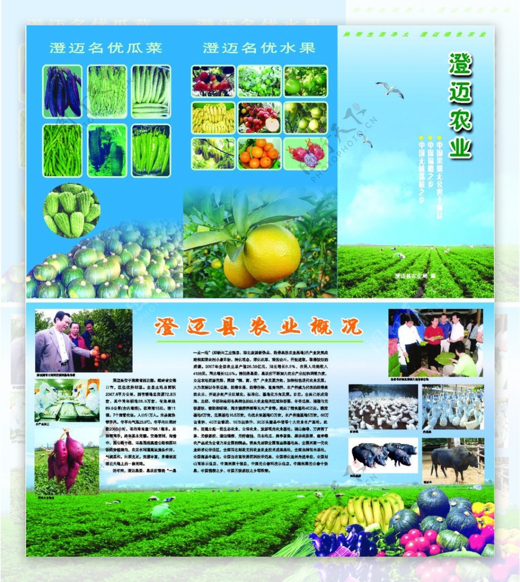农业宣传单页图片