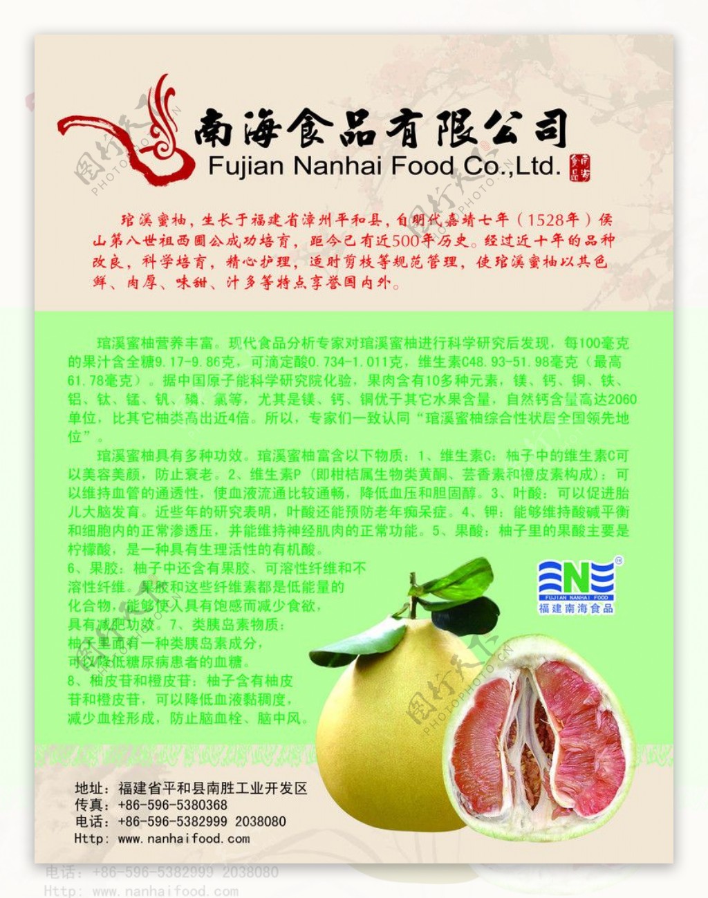 柚子图片