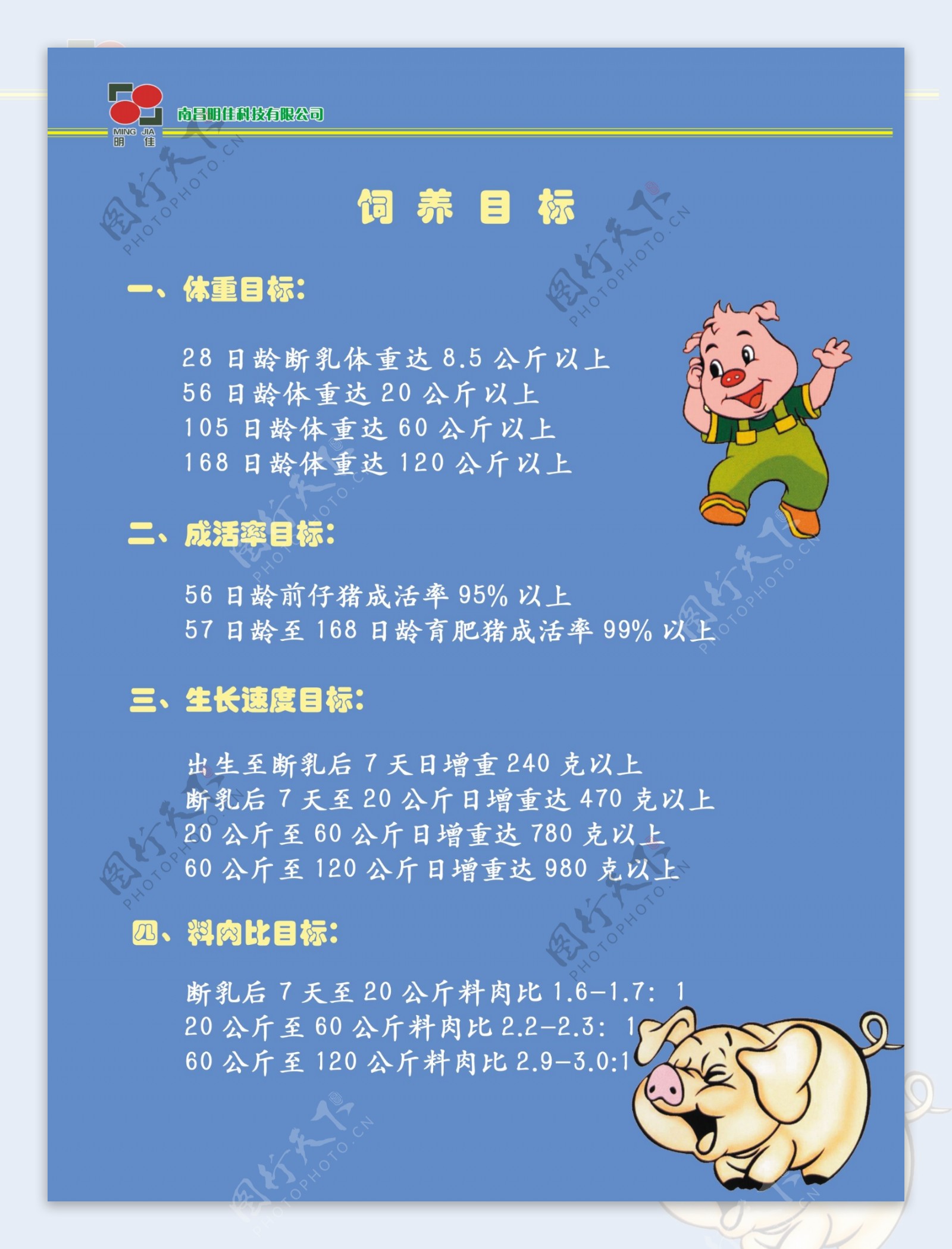 宣传单猪饲料画册图片