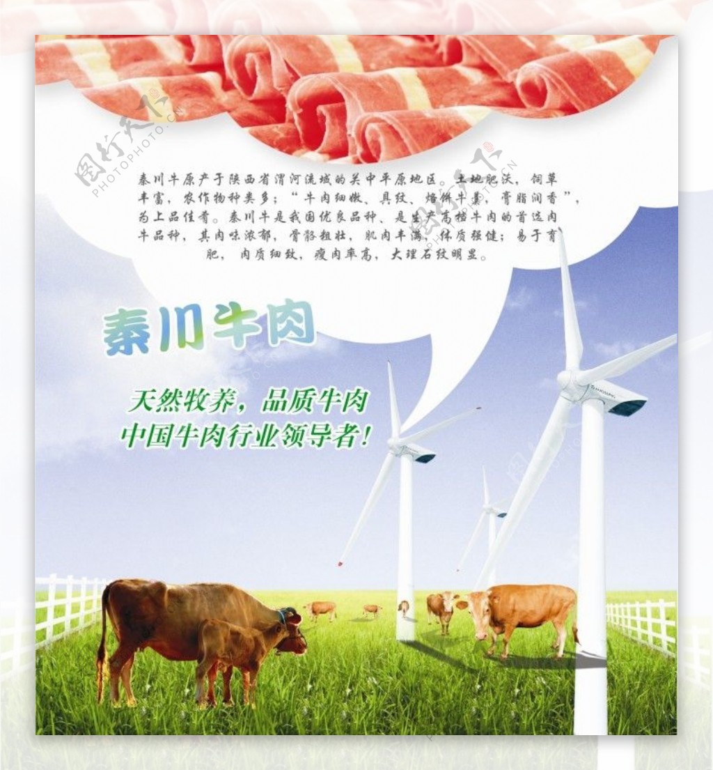 牛肉海报图片