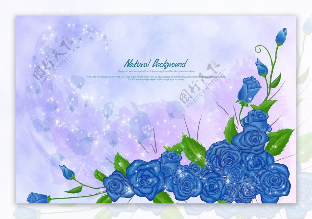 蓝色梦幻背景花朵图片