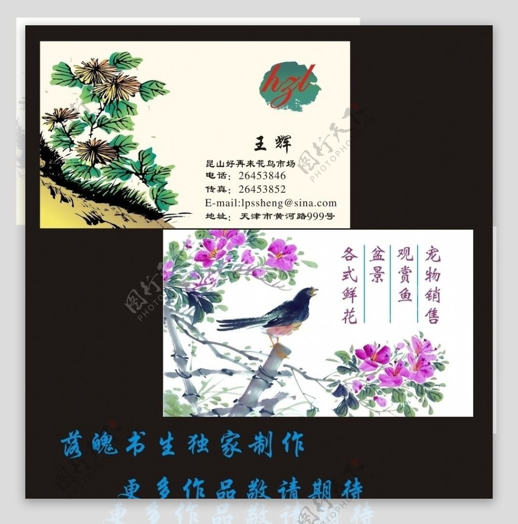 花鸟名片图片