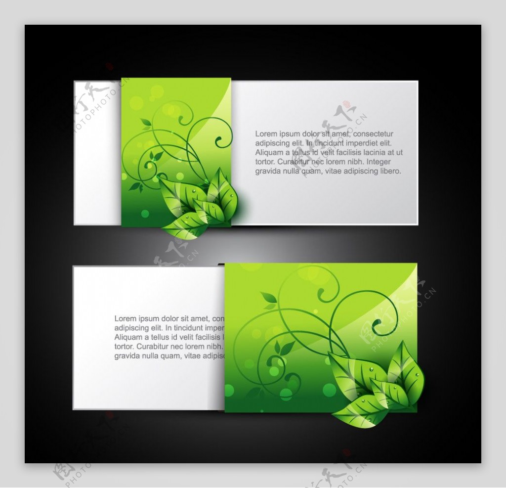 绿叶水珠水滴卡片图片