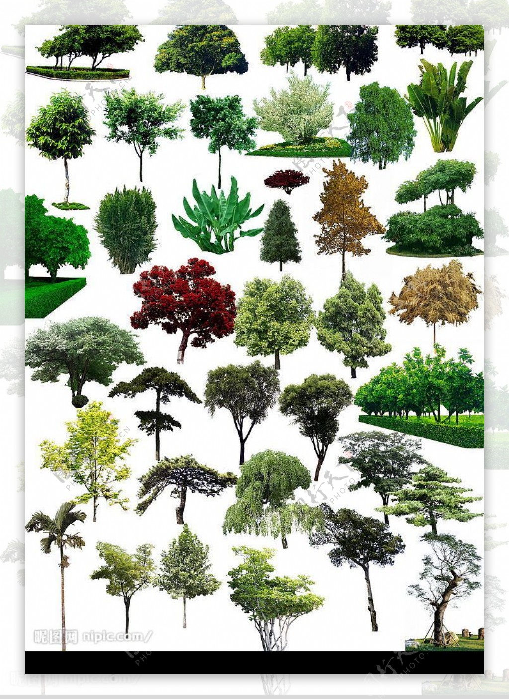 树木素材大合集图片