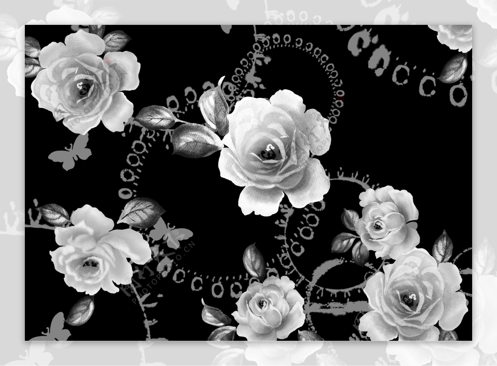 黑白花图片