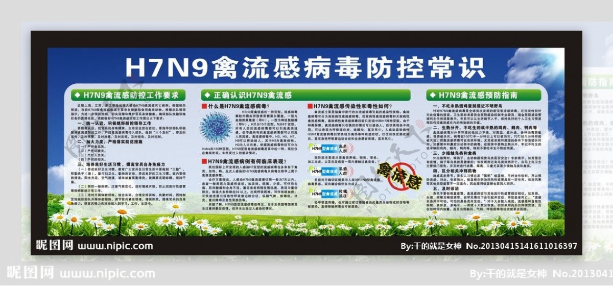 H7N9禽流感防控图片
