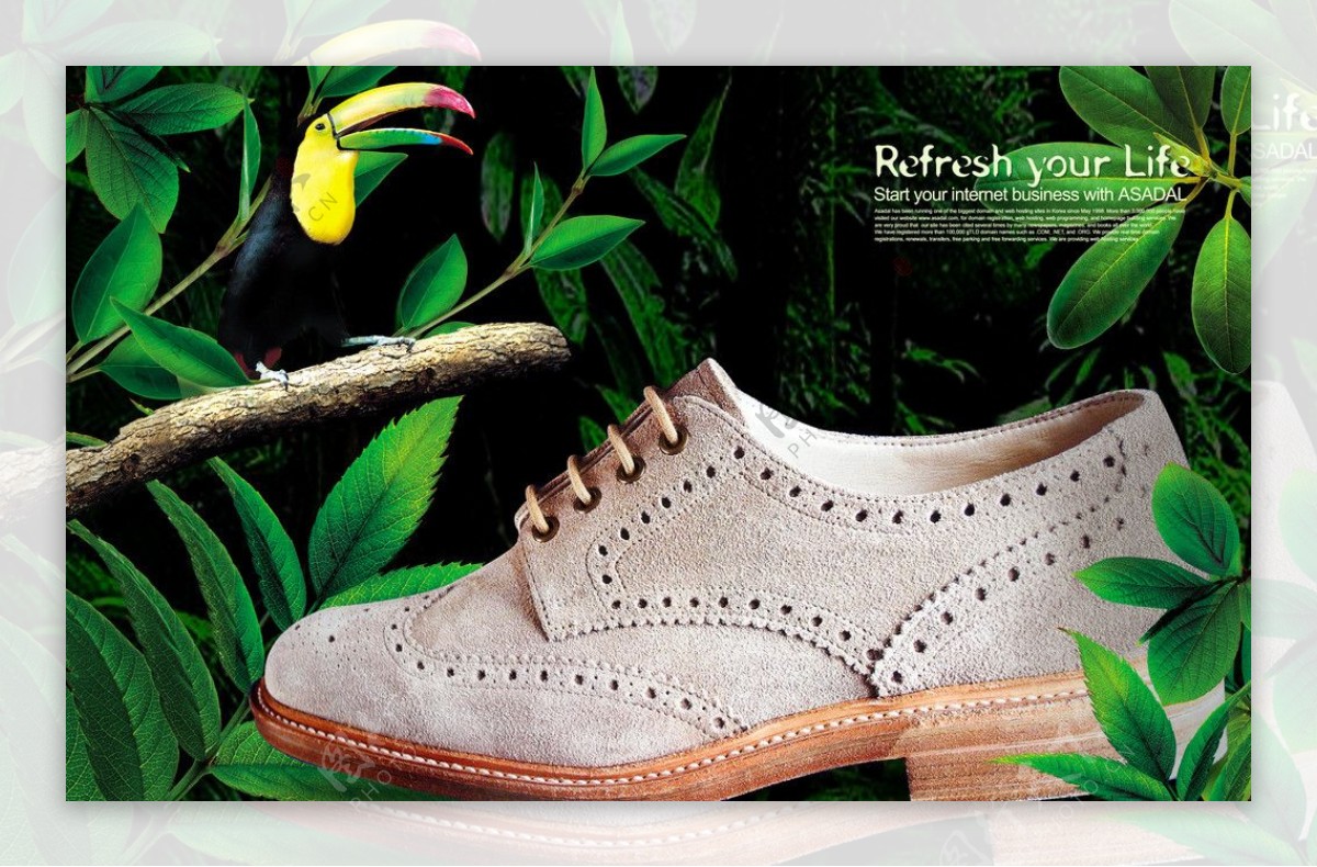 鞋类广告图片