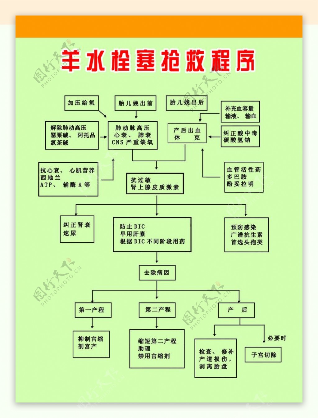 羊水栓塞抢救程图片