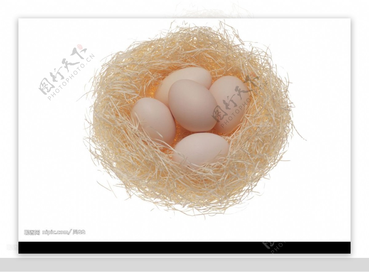孵蛋图片大全-孵蛋高清图片下载-觅知网