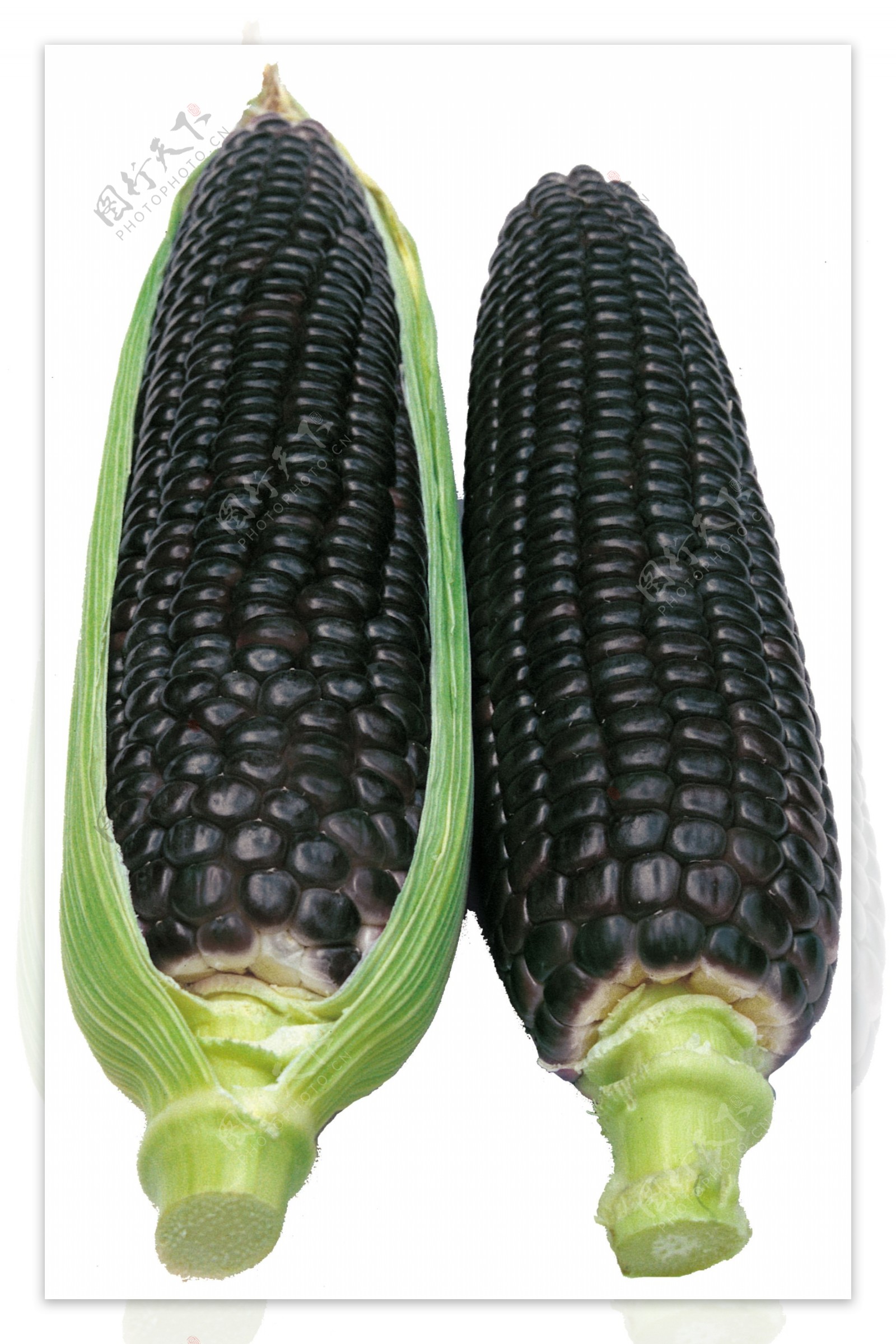 黑玉米图片