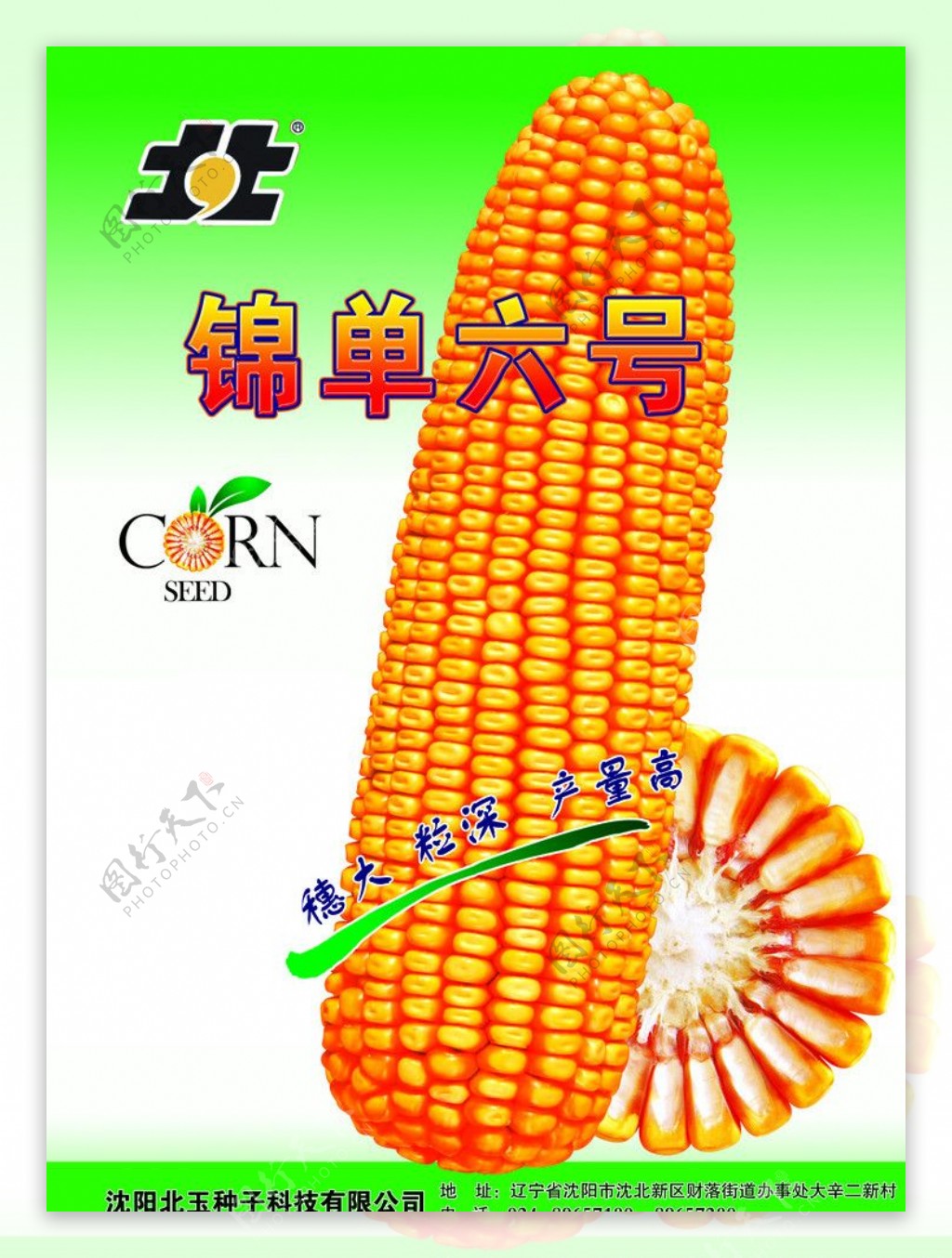 玉米种子图片素材-编号15793403-图行天下