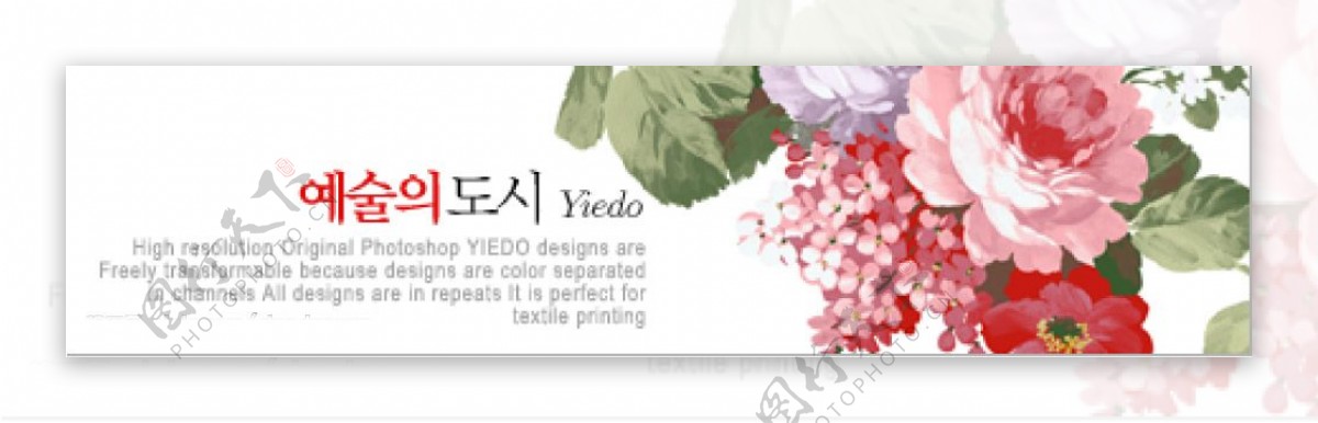 韩国花卉PSD分层模板白色图片