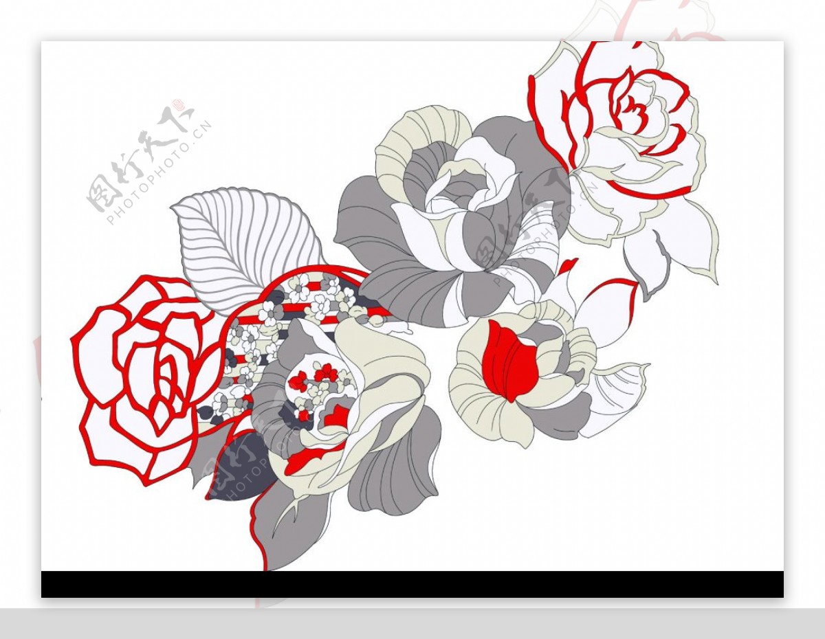 手绘线描效果玫瑰花psd分层素材3图片