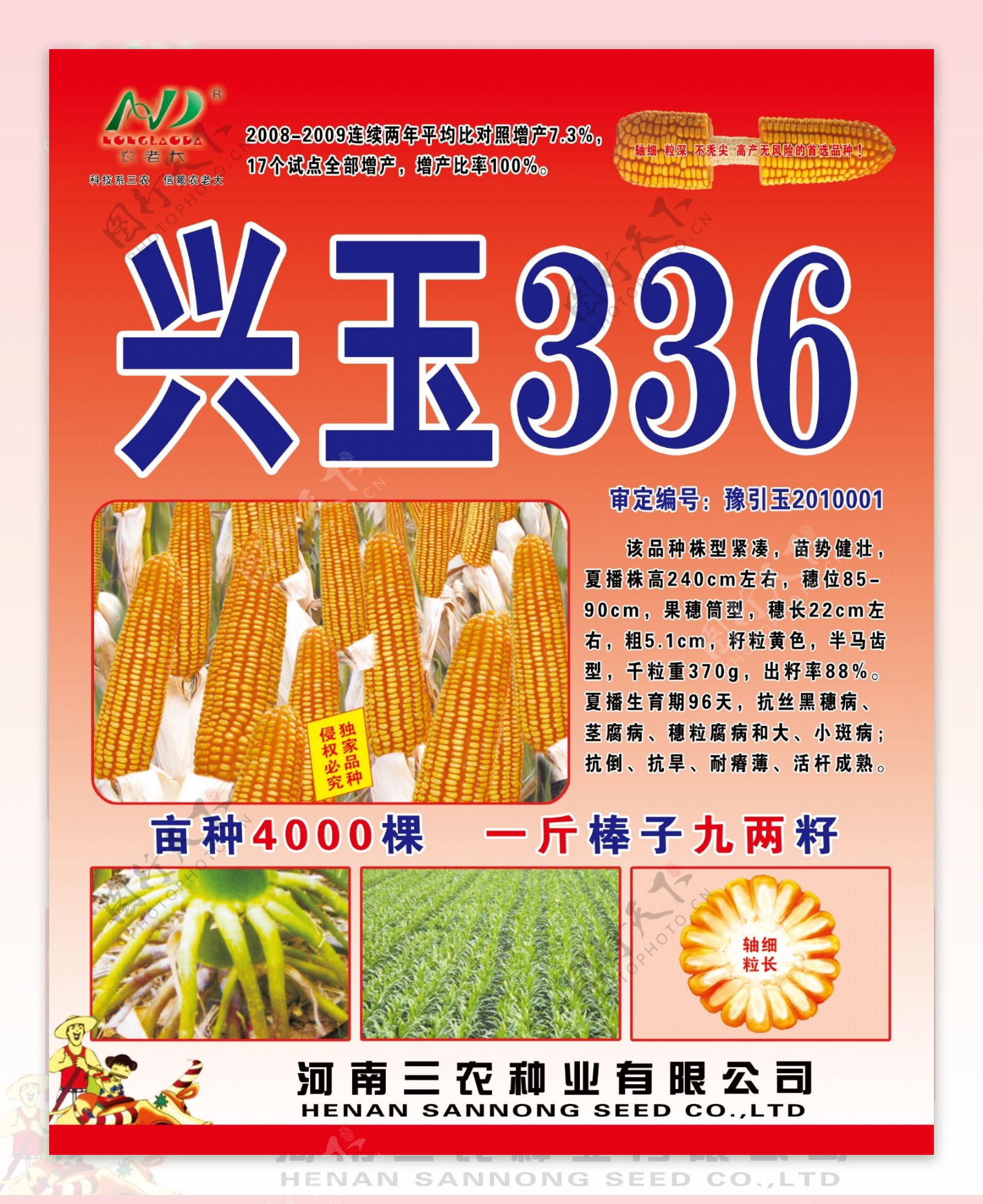 兴玉336玉米种海报图片