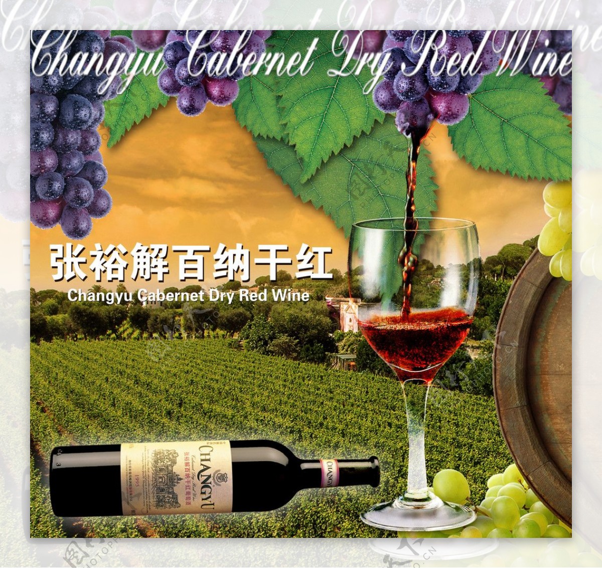 张裕红酒宣传图片