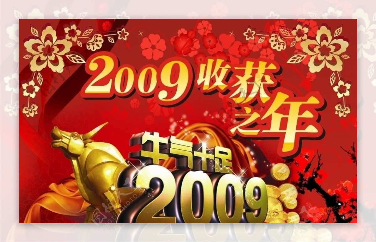 2009牛气十足图片