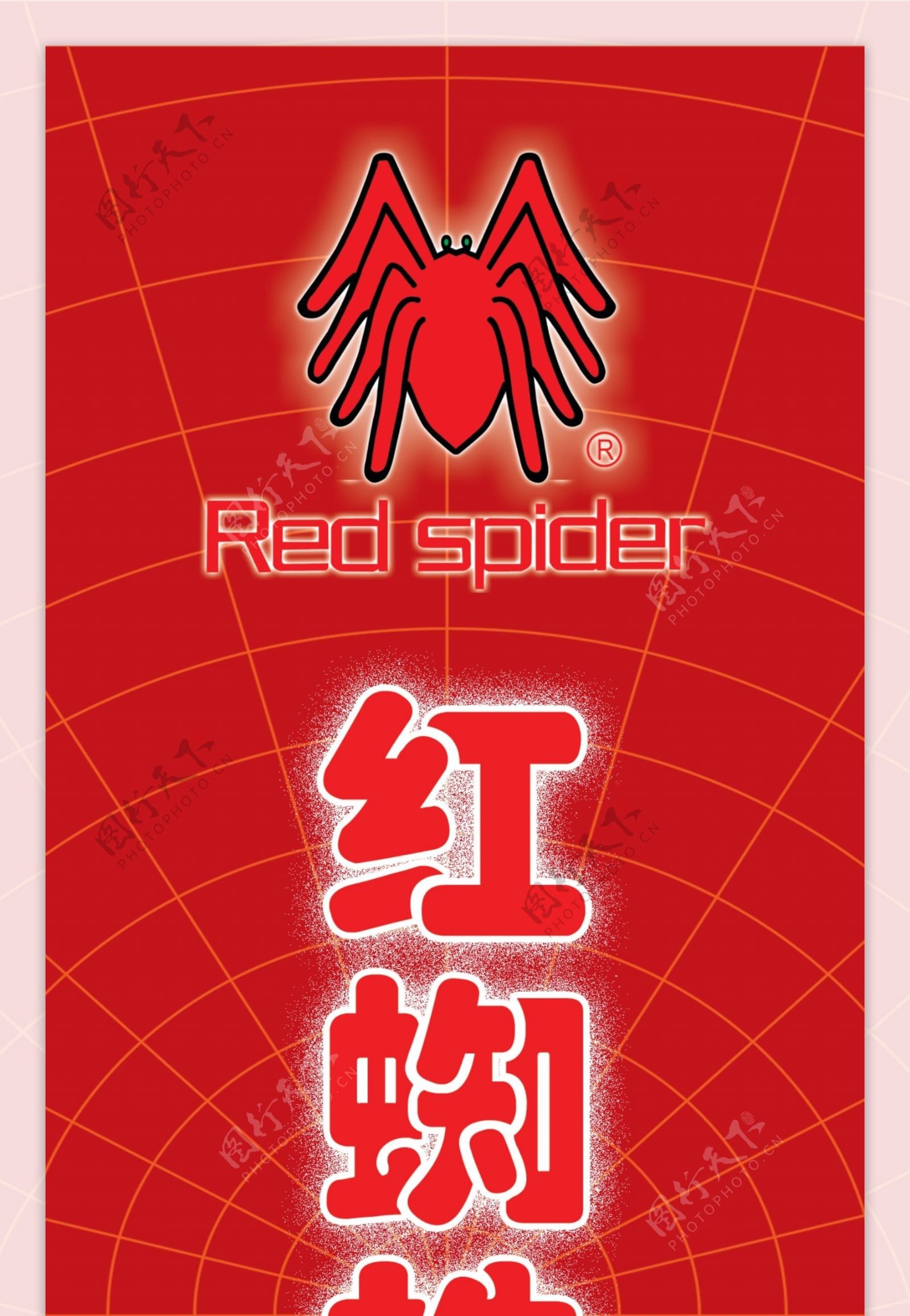 红蜘蛛图片