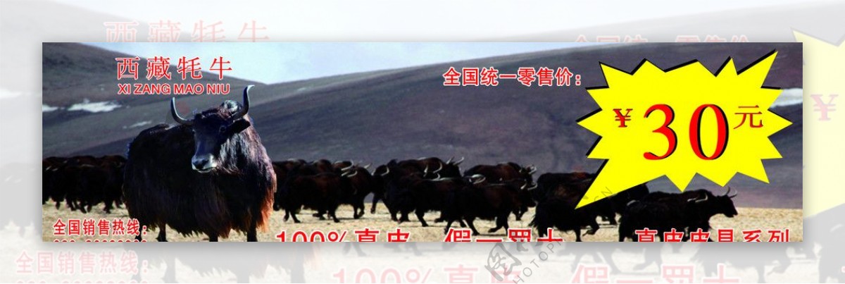 西藏牦牛皮具图片