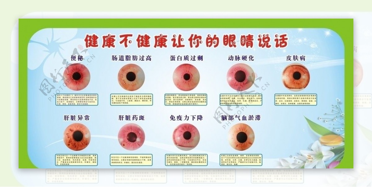 虹膜保健分析图图片