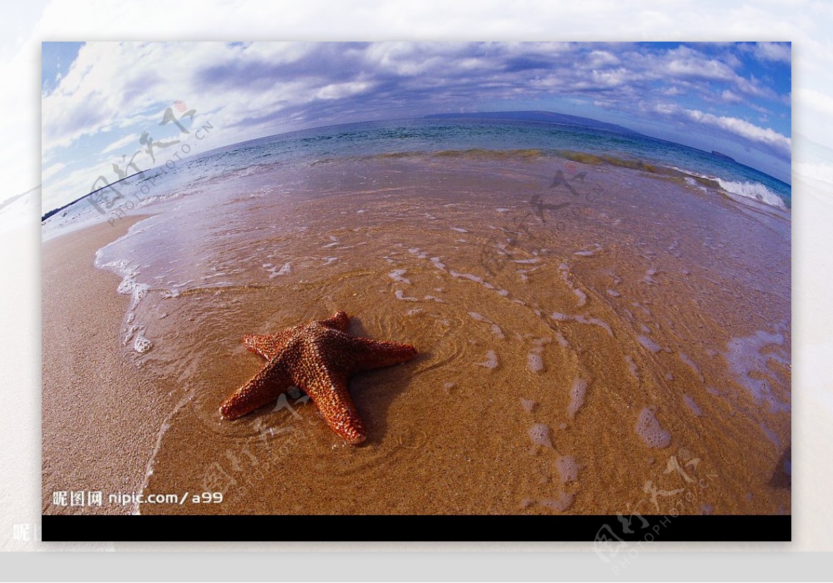 海星独行上海滩图片