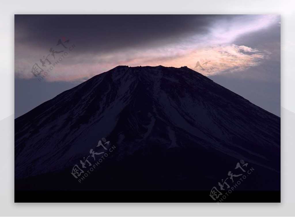 樱花与富士山0181