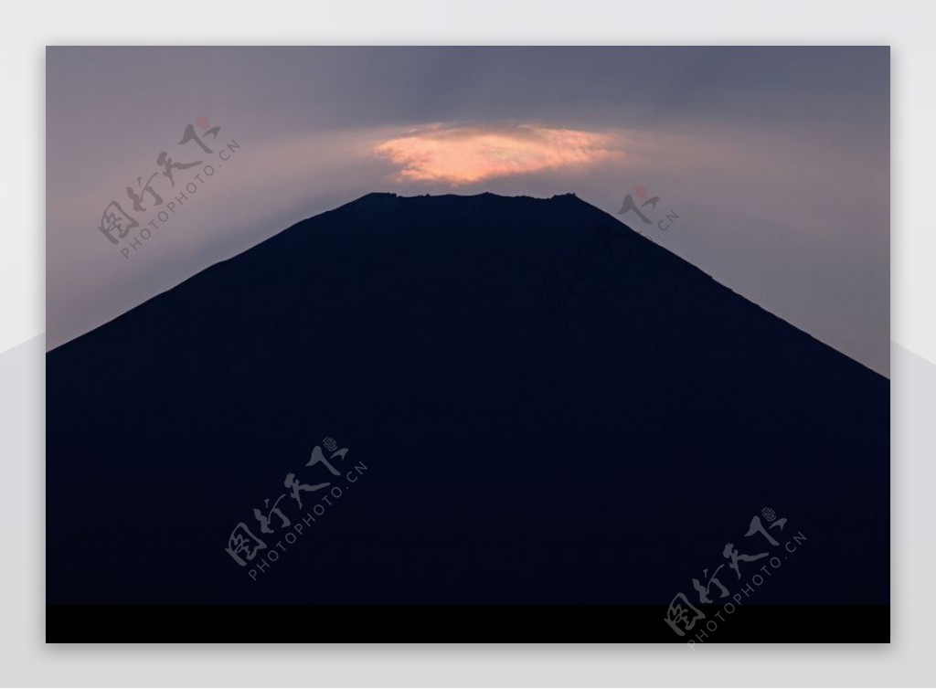 樱花与富士山0183
