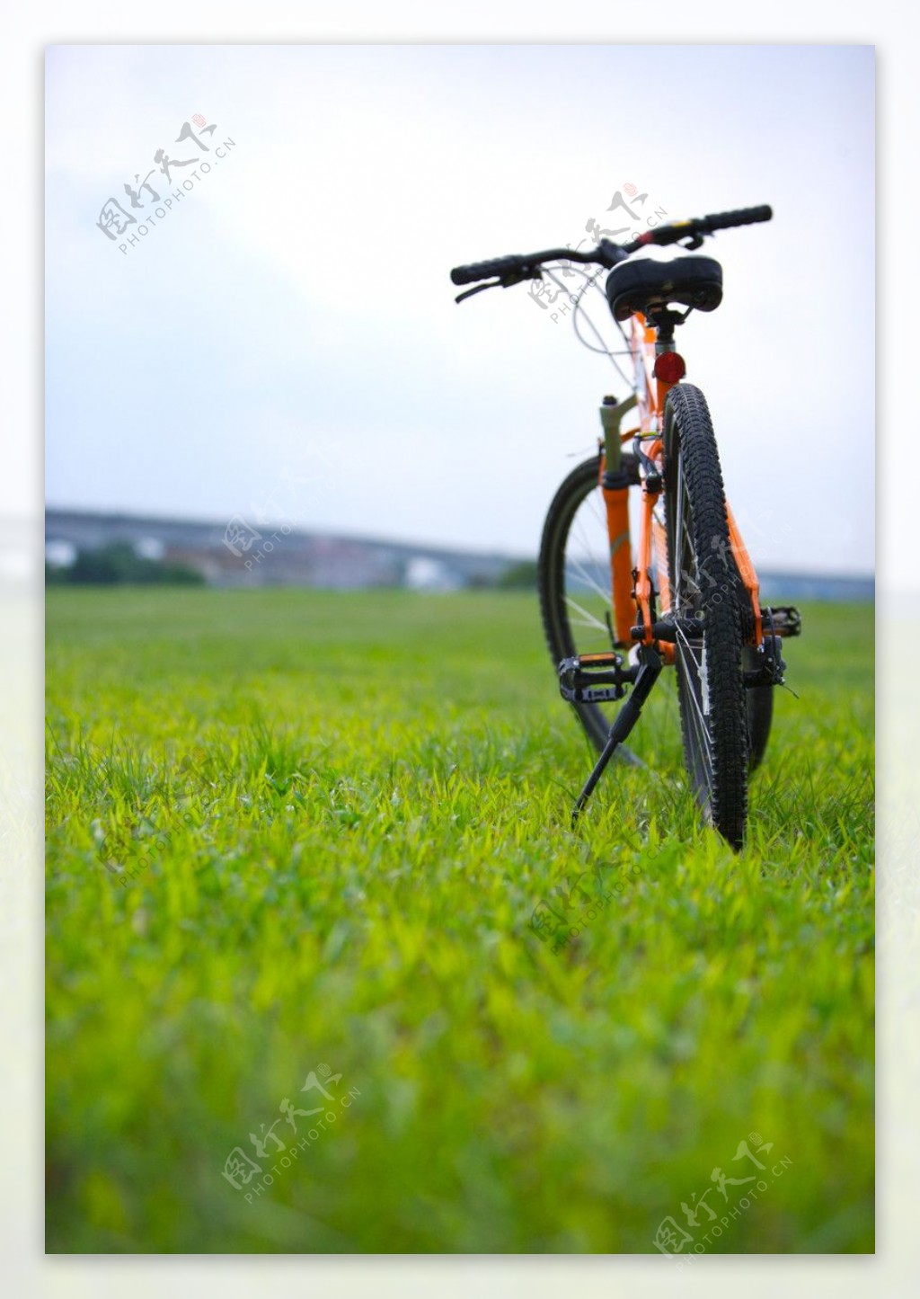 亲子休闲脚踏车0011