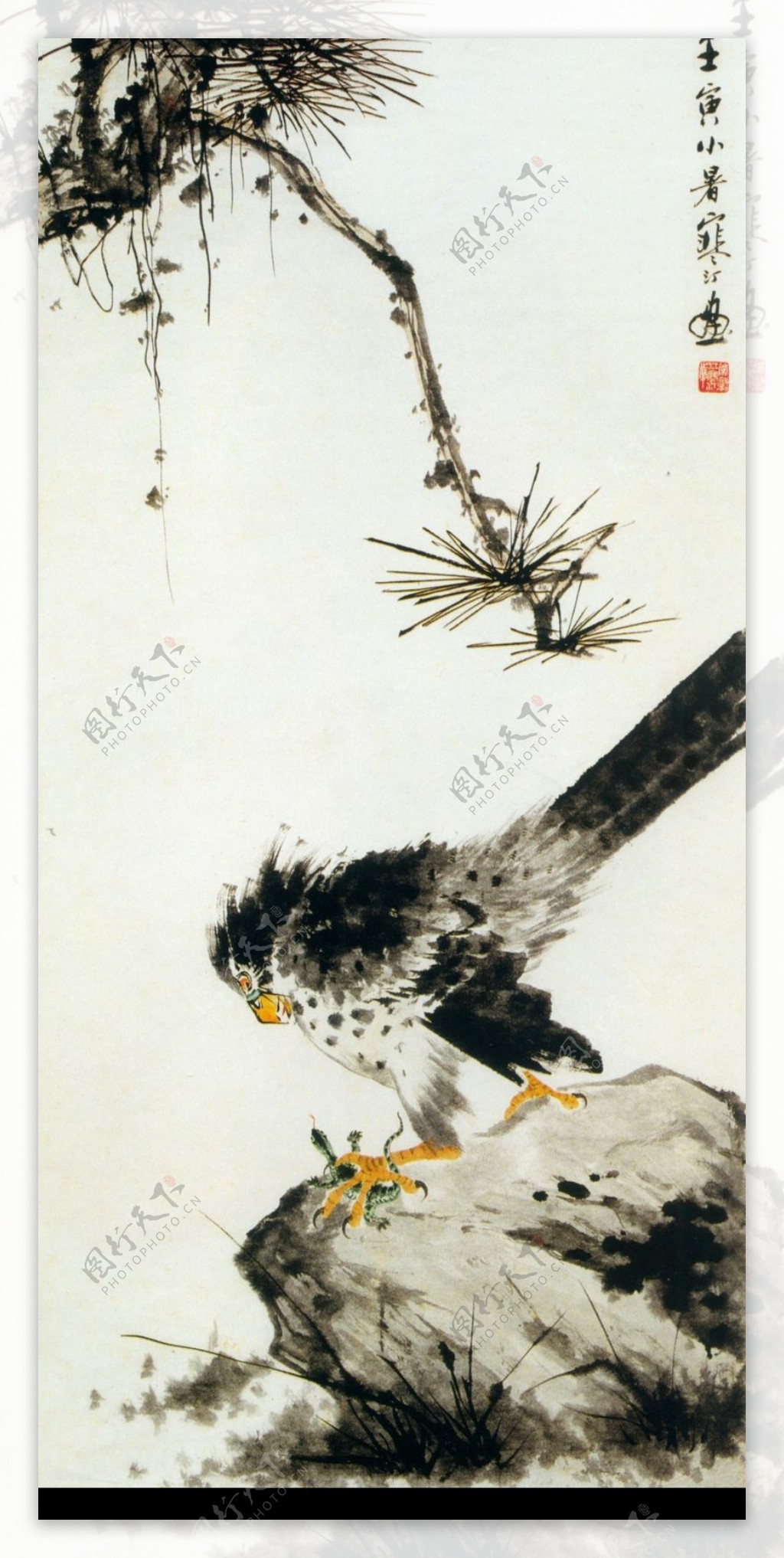 中国现代花鸟0142