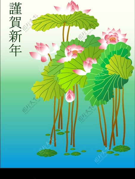 竹子荷花植物0059