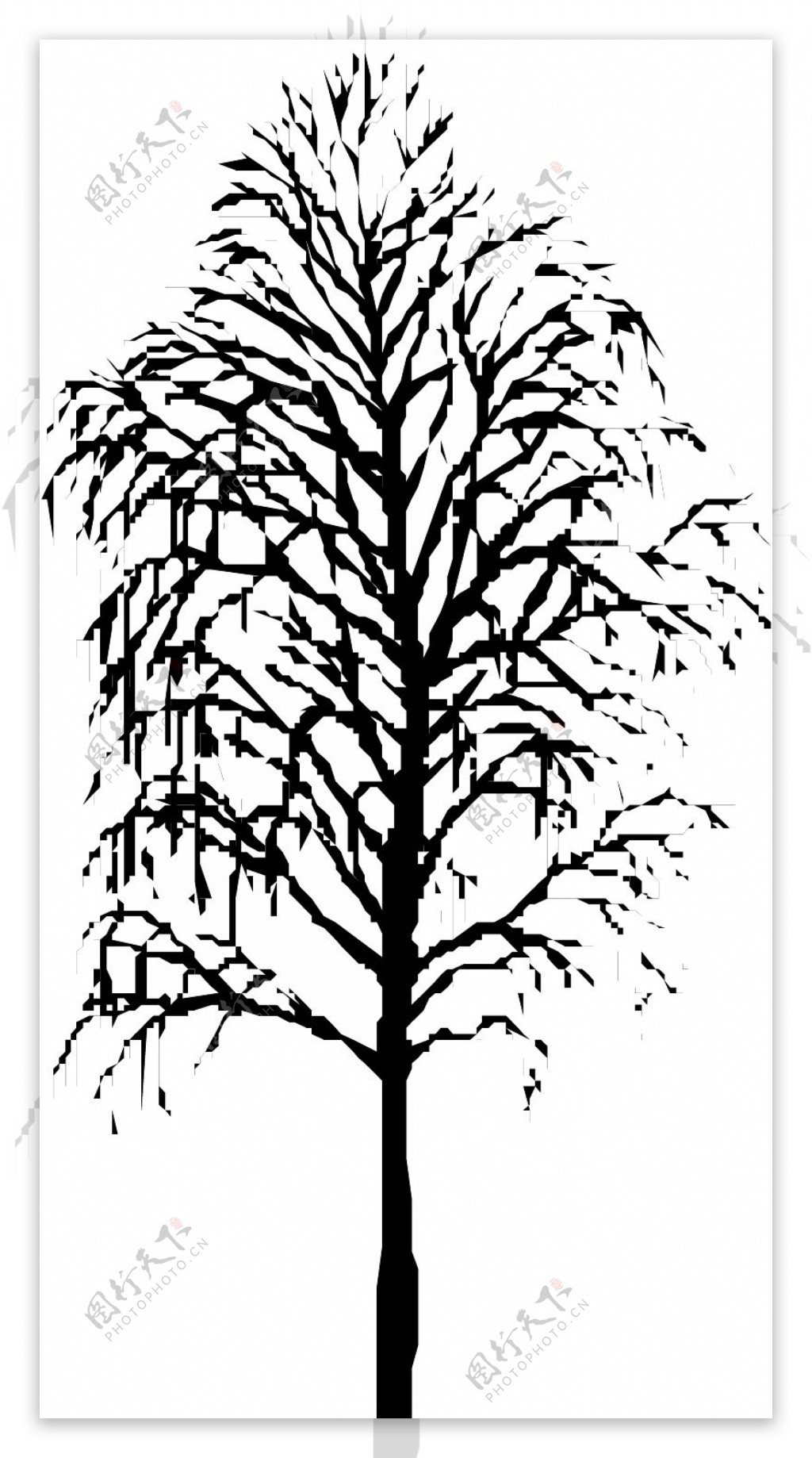 树木1569