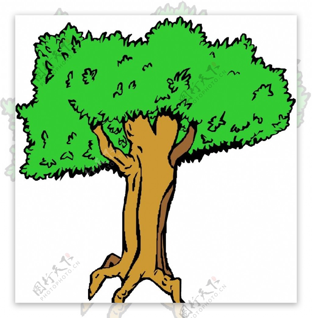 树木1580