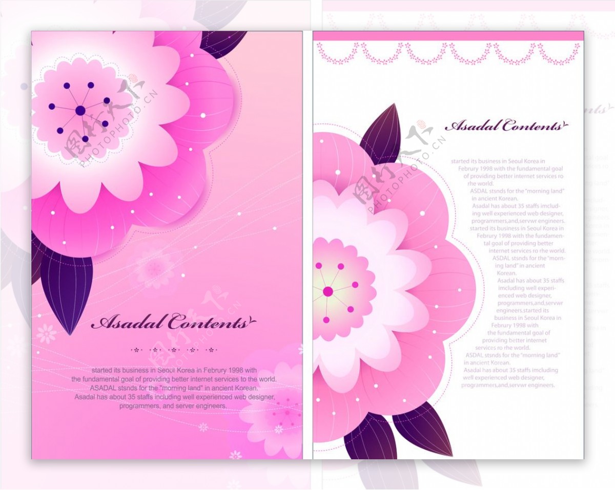 粉红花朵包装图案