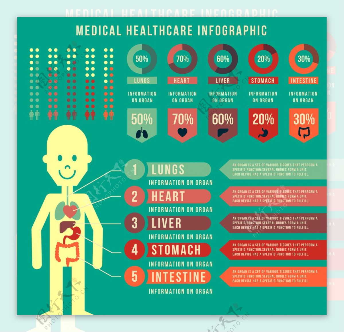医疗保健信息图表