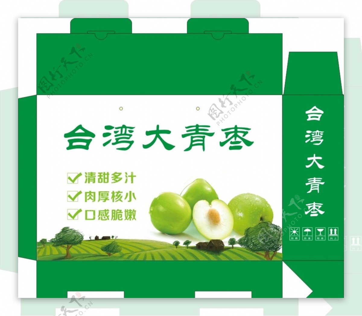 清爽的台湾大青枣包装礼盒
