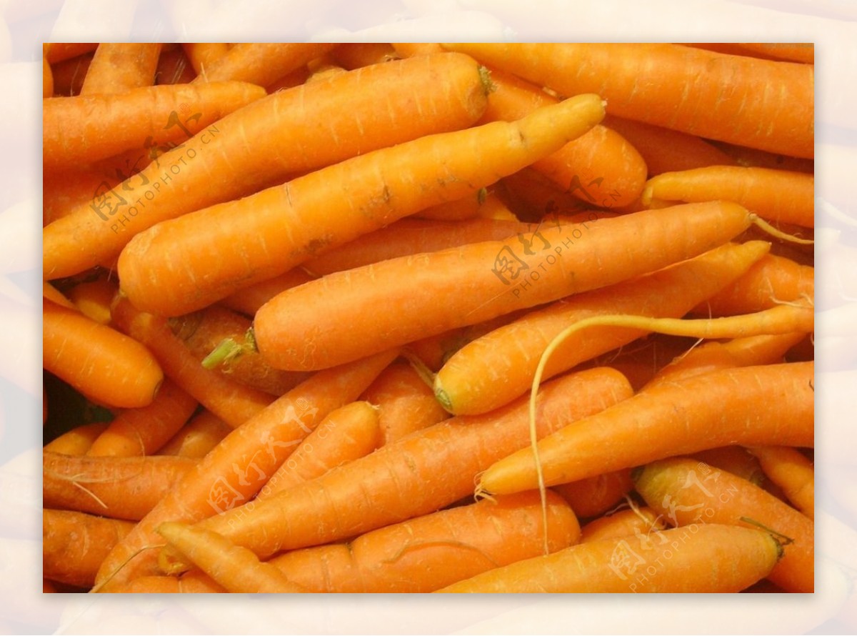 营养可口健康呵护眼睛的胡萝卜图片,图片 - IOS桌面