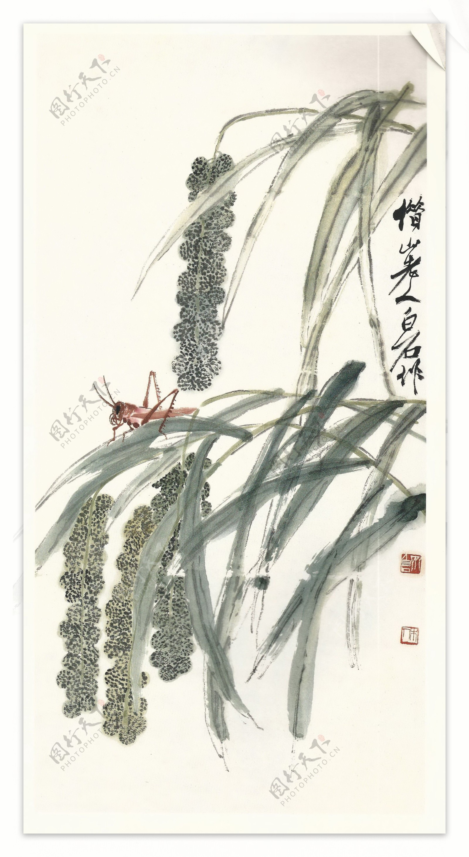 齐白石书法绘画艺术谷穗蝗虫