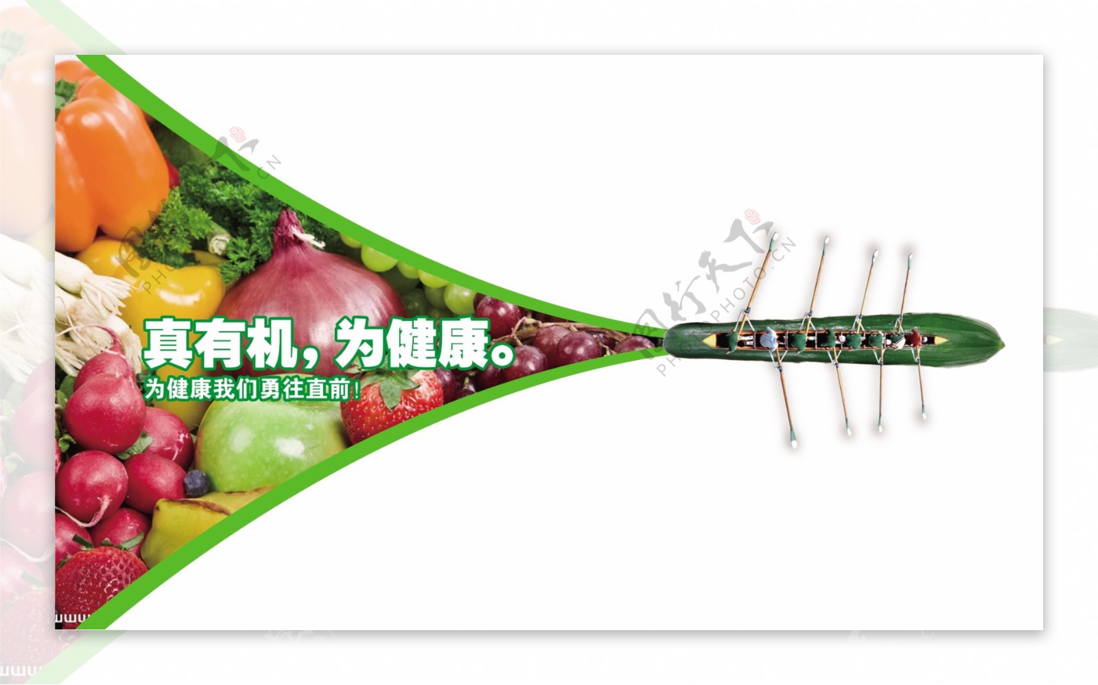 蔬菜公司宣传画册