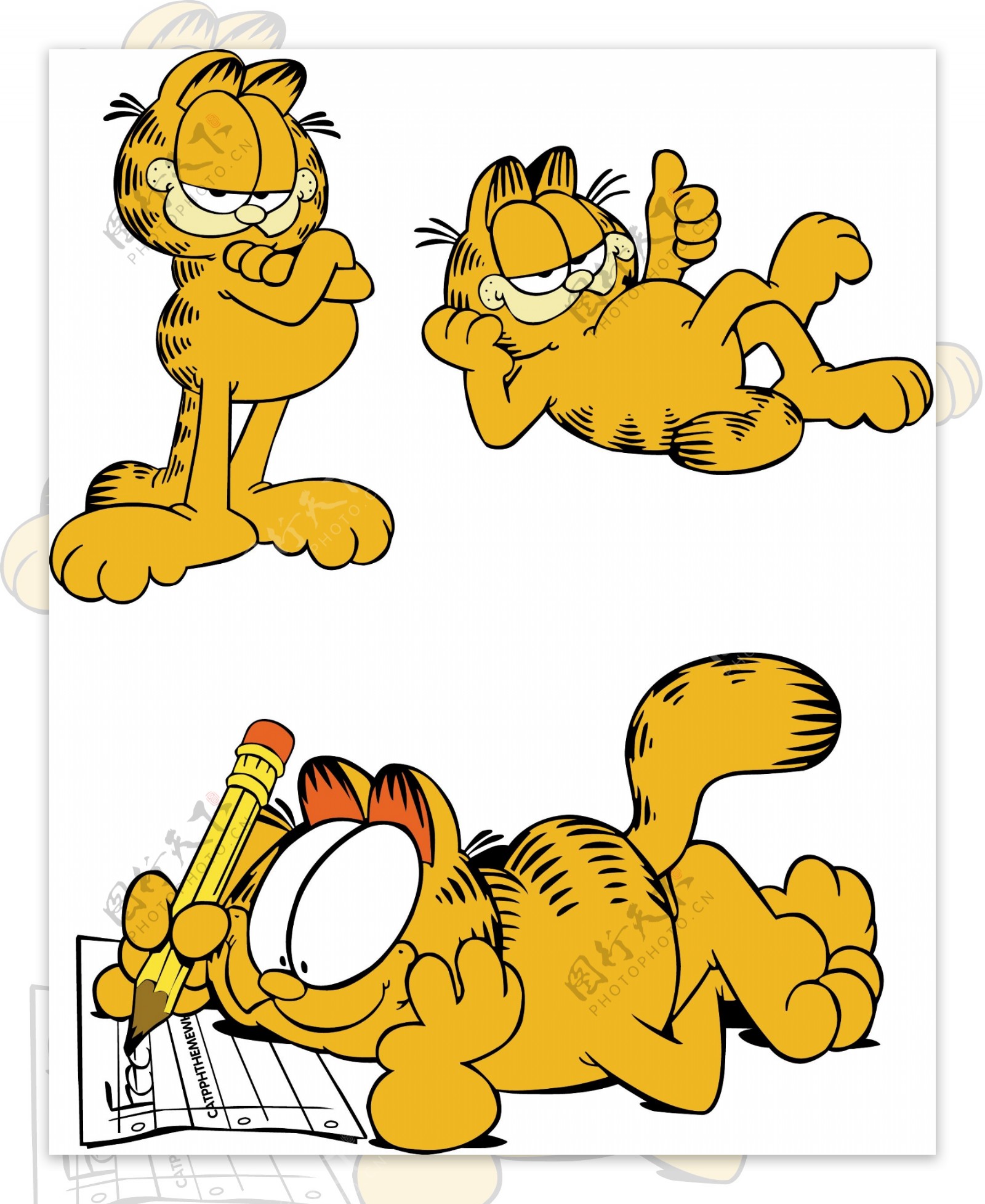 美国动漫加菲猫卡通造型