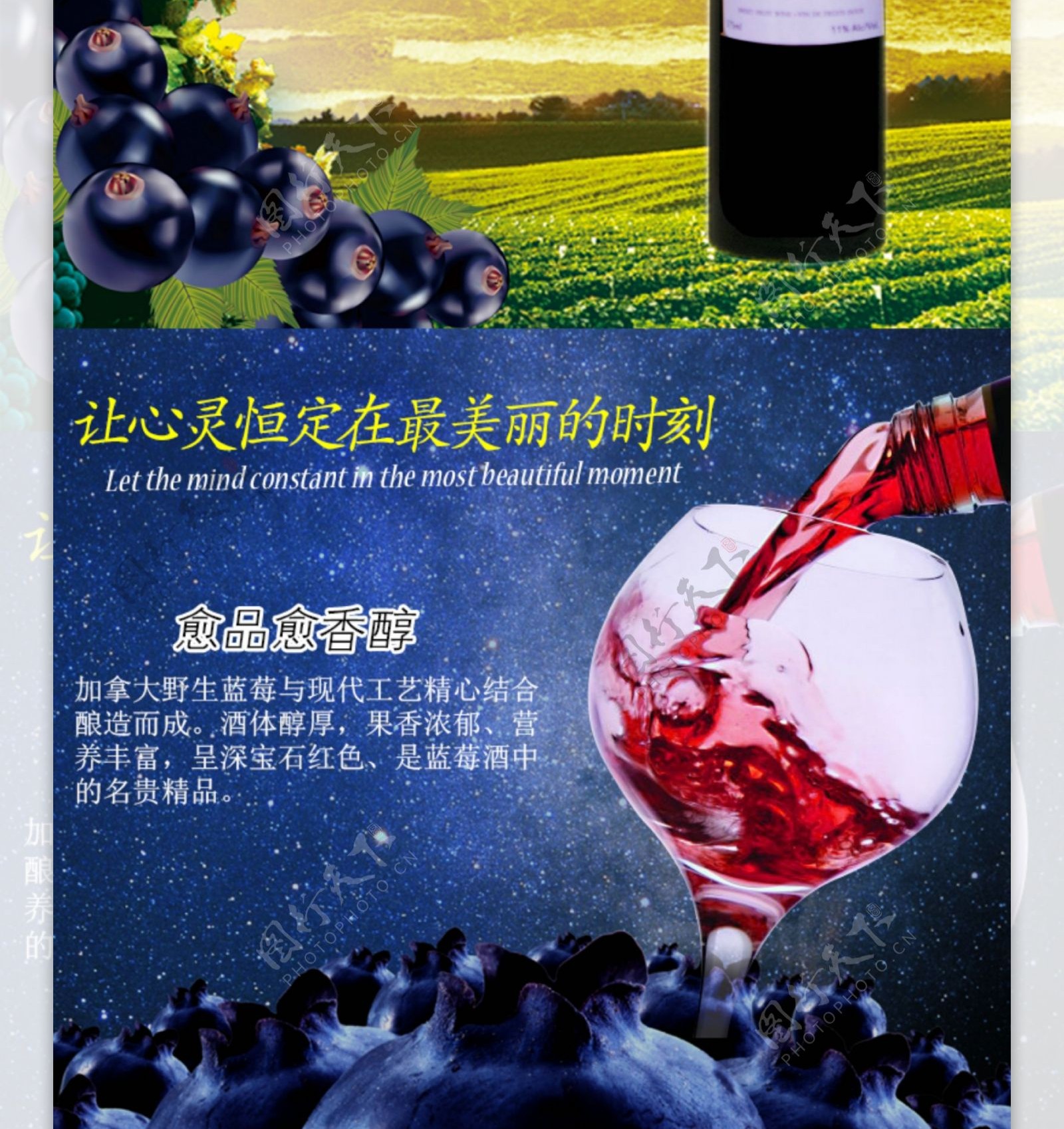 蓝莓酒详情图