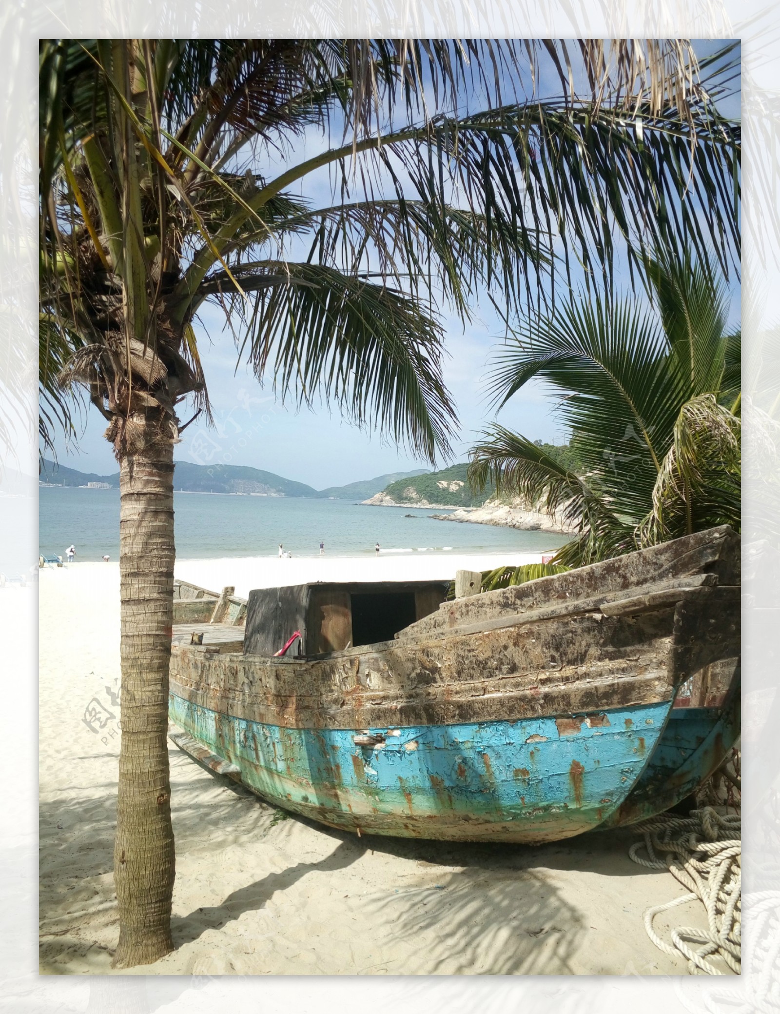 海滩椰树木船