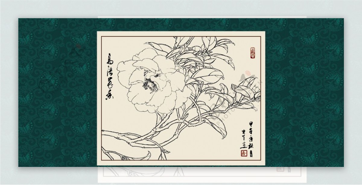 白描茶花