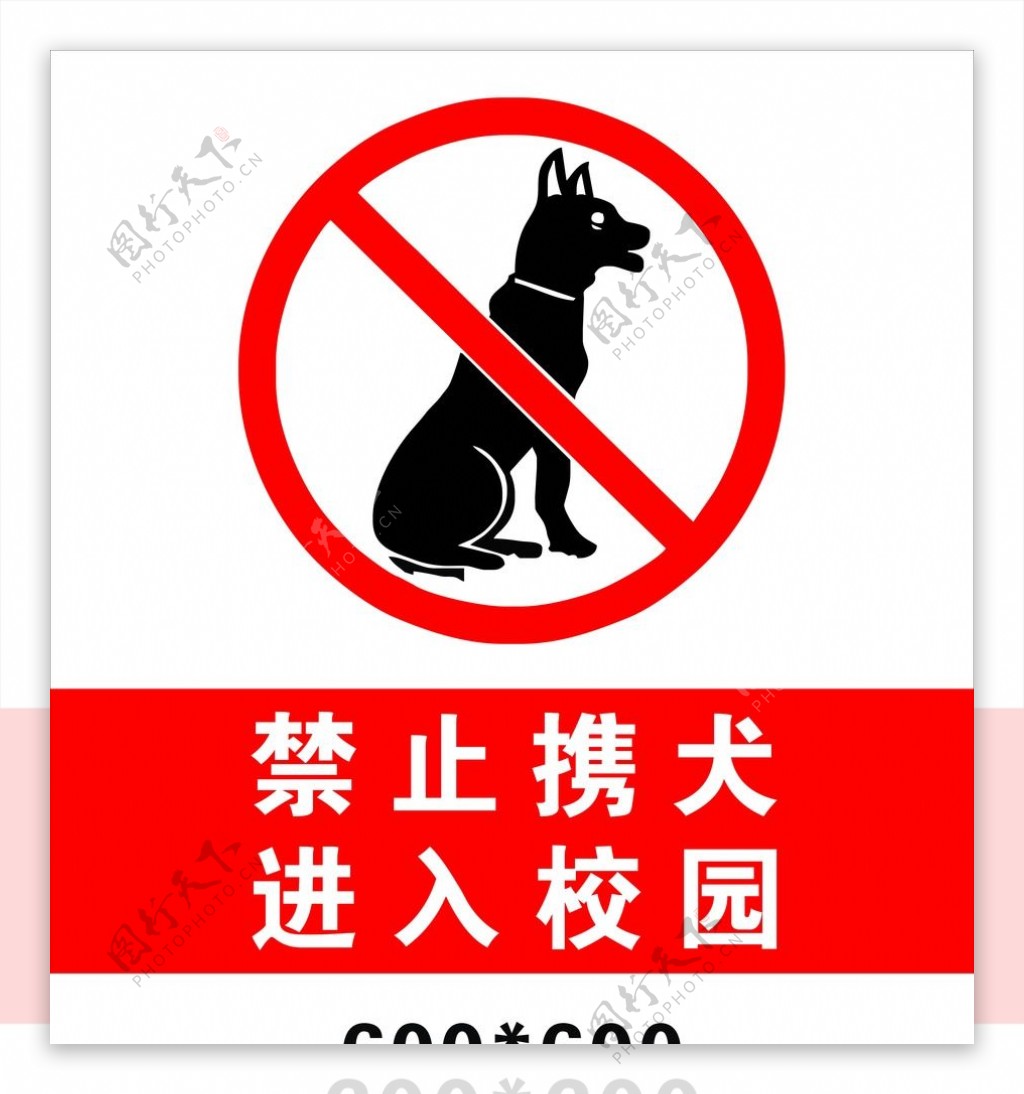 禁止携犬进入校园