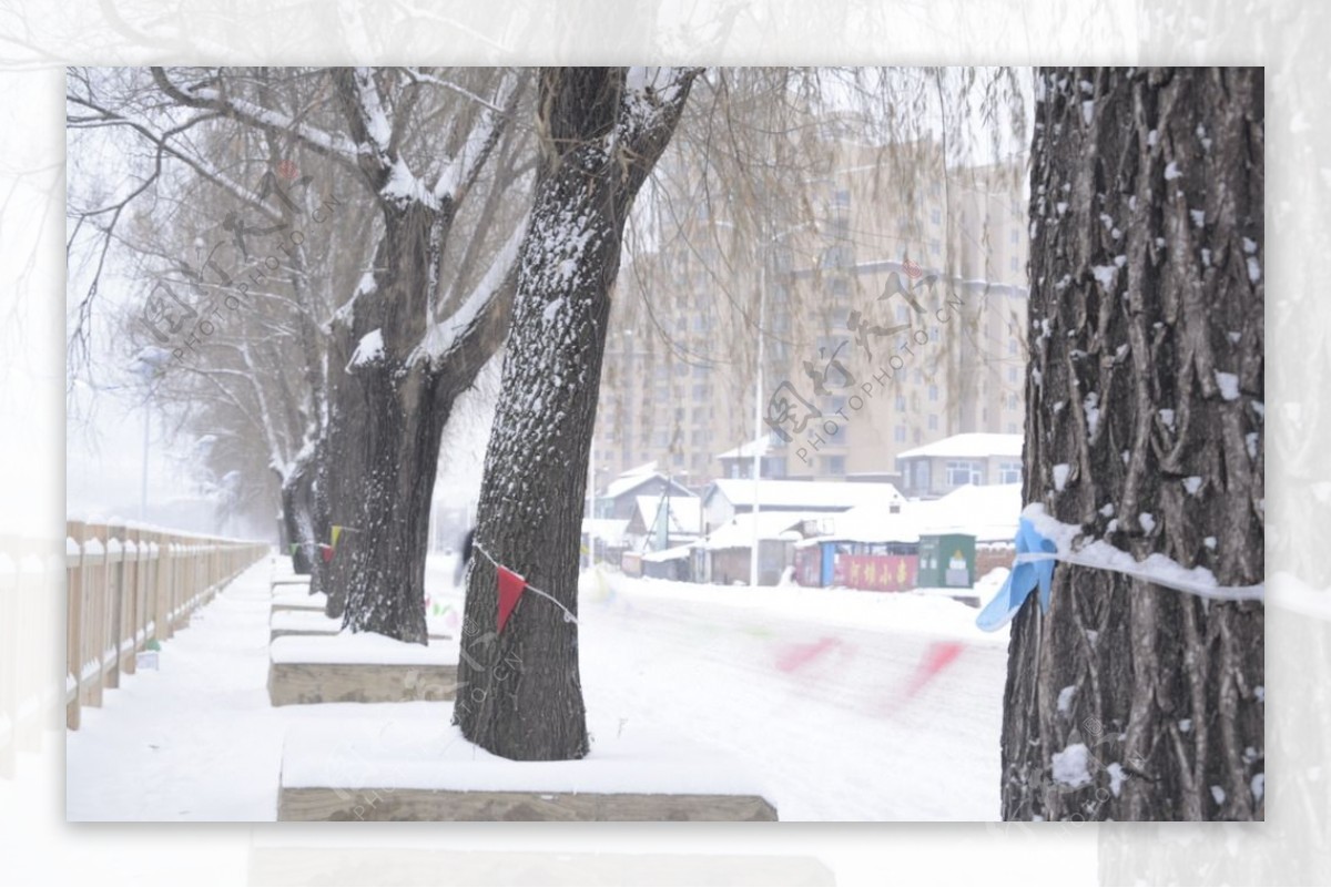 故乡的雪